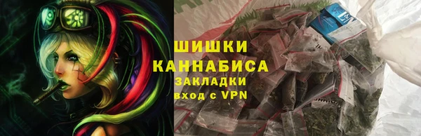 твердый Бородино