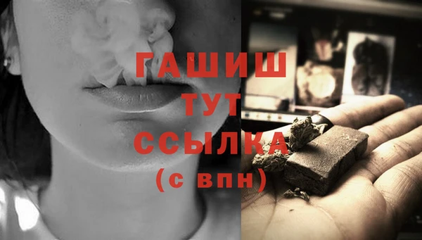 твердый Бородино
