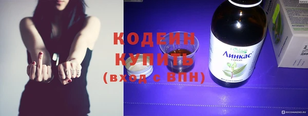 твердый Бородино