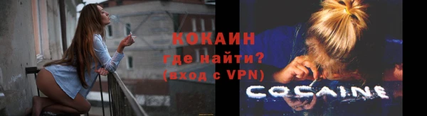 твердый Бородино