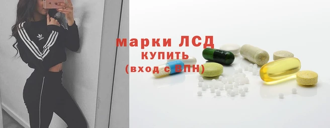 гидропоника Бронницы