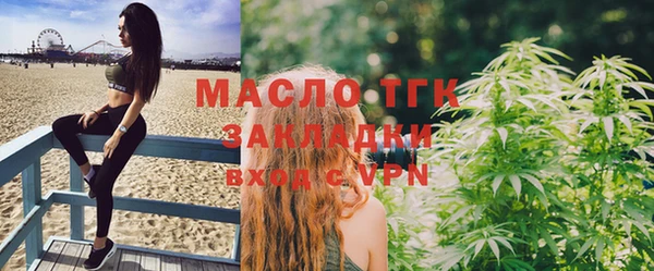 твердый Бородино
