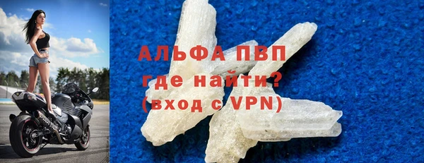твердый Бородино