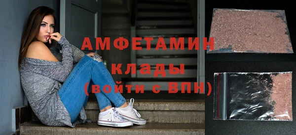 твердый Бородино