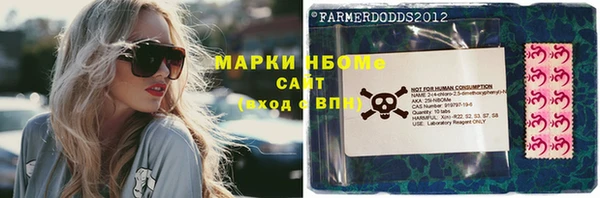 твердый Бородино