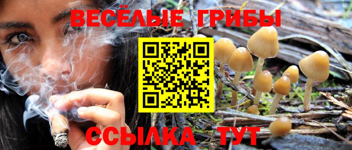 Галлюциногенные грибы MAGIC MUSHROOMS Димитровград