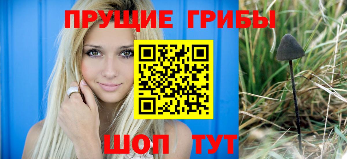 Галлюциногенные грибы Psilocybe  Вход с VPN  Димитровград 
